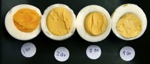 Яйца вкрутую, сваренные в разных режимах