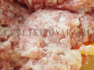 ÐÑÐ°Ð·Ñ Ñ Ð³ÑÐ¸Ð±Ð°Ð¼Ð¸ Ð¸ ÑÑÑÐ¾Ð¼