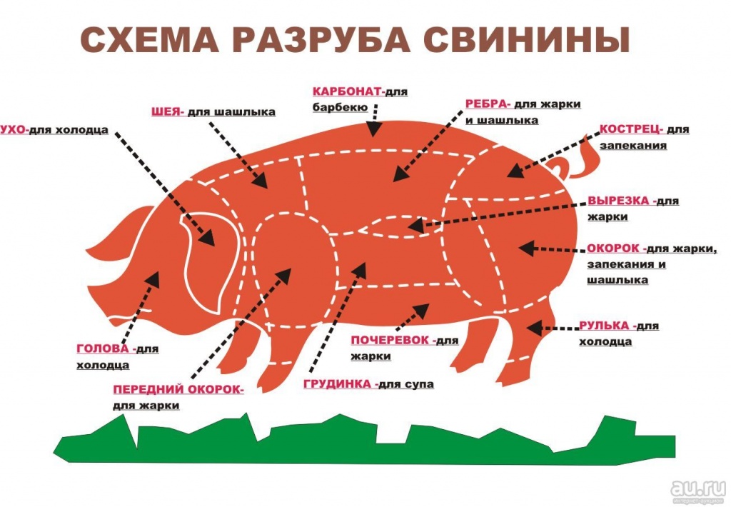 Схема разделки свиной туши.jpg