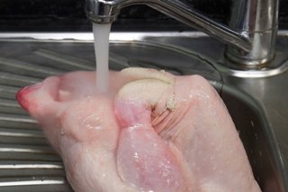 Picture of washing raw chicken