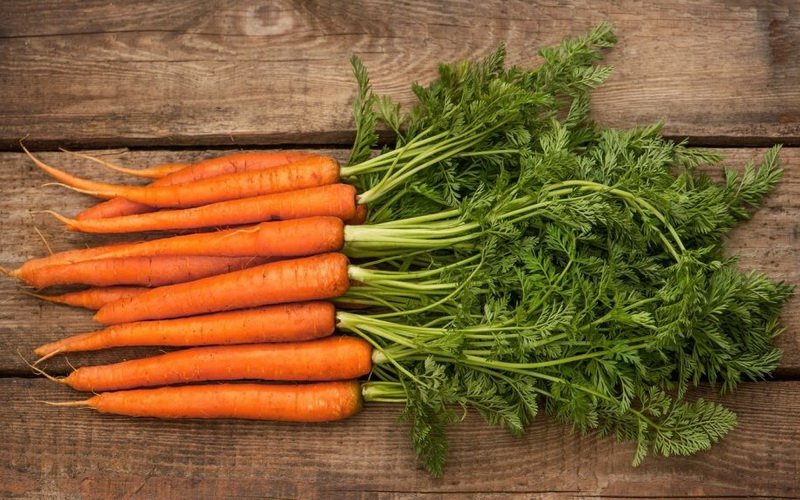 Режимы и способы хранения овощей: как правильно сохранить морковь
