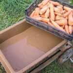 Режимы и способы хранения овощей: как правильно сохранить морковь фото