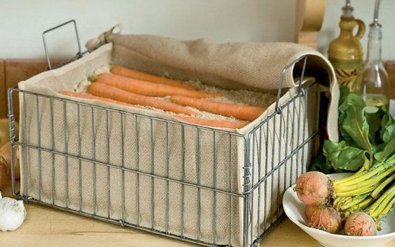 Хранение моркови во мху-сфагнуме