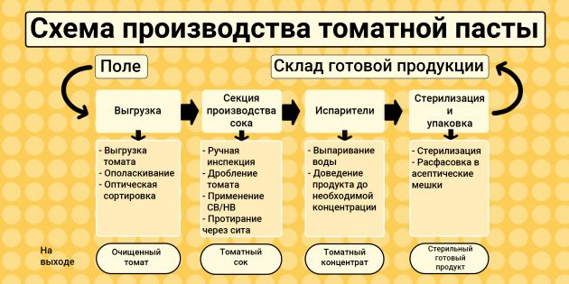 Узнайте, где и как произведена томатная паста Узнайте, где и как произведена томатная паста