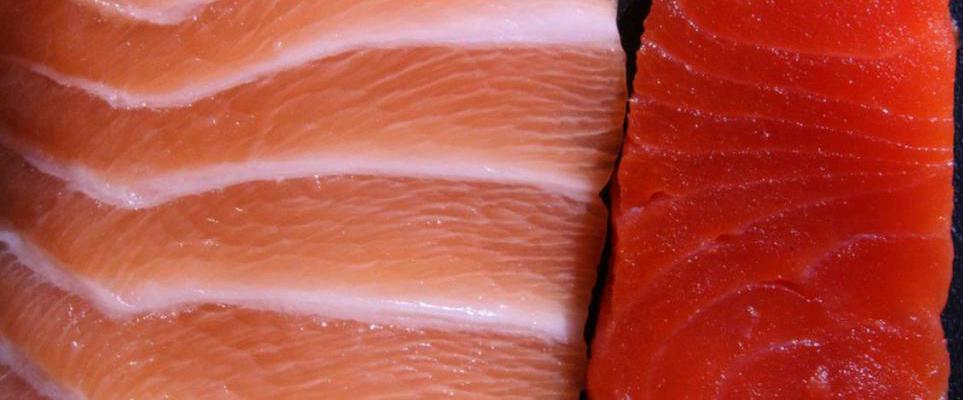 отличия мяса фермерского лосося от дикого