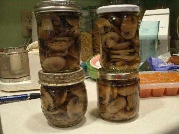 засолка белых грибов горячим способом рецепты