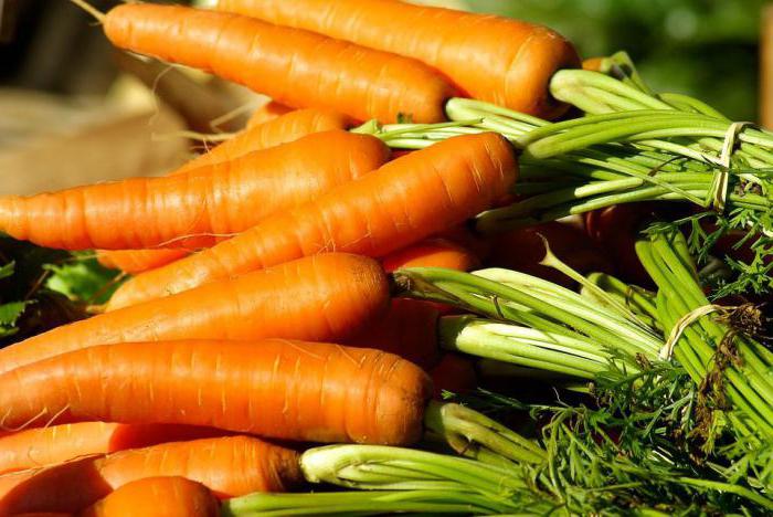 морковь это фрукт или овощ