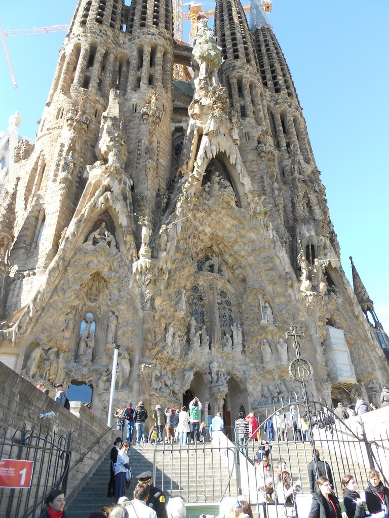 DSCN2974