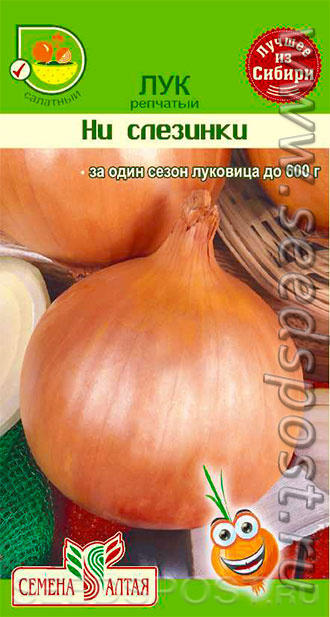 Сорт сладкого лука избавит Вас от слез! Луковицы крупные, массой от 150 до 600 г. Сорт салатного назначения.