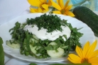 Салат из щавеля с огурцом