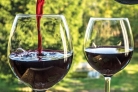 Домашнее вино из смородины без дрожжей
