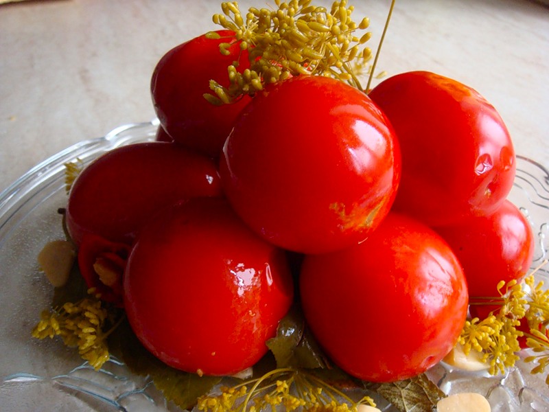 Рецепты блюд из соленых помидор