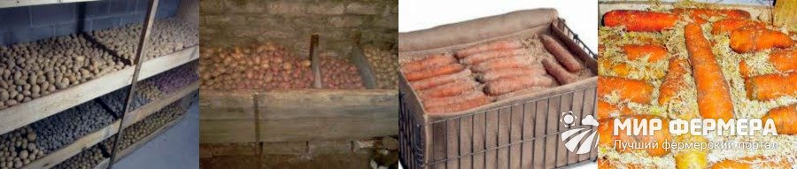 Хранение картофеля и моркови в погребе Как хранить картошку и морковь в погребе