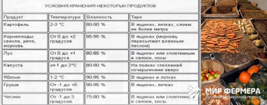 Хранение овощей в погребе Температура хранения овощей в погребе