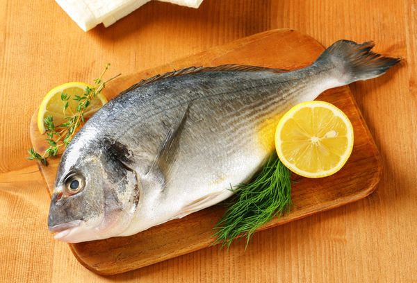 рыба морской карась