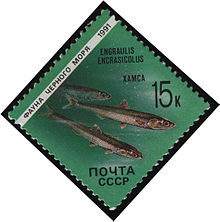 1991 CPA 6282.jpg