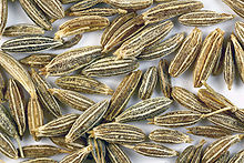 Arabic herbal medicine guidebook.jpg