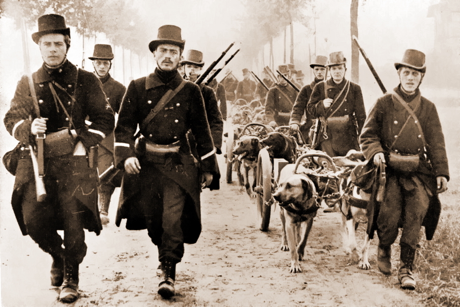 ​Знаменитый кадр: бельгийские пулемётчики с пулемётными тележками на собачьей тяге выдвигаются навстречу немецкой армии во время её наступления на Антверпен, 20 августа 1914 года - Чёрные годы фламандцев и валлонов 
