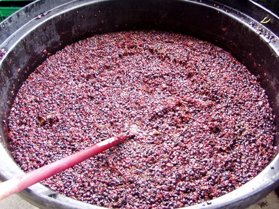 На фотографии показана ферментация вина