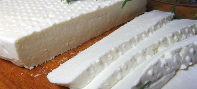 адыгейский сыр из творога в домашних условиях