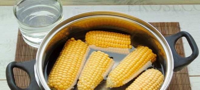 Как сварить кукурузу мягкой и сочной - простые и оригинальные идеи приготовления любимого лакомства 