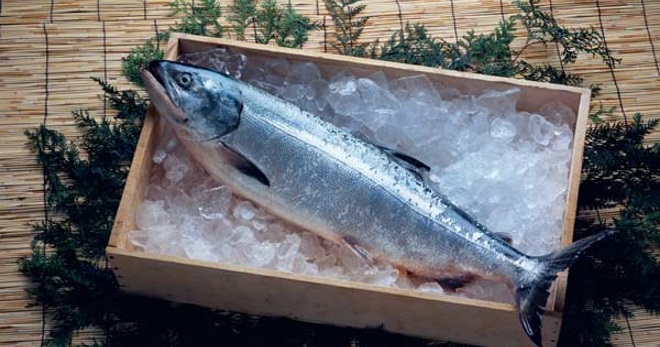 Рыба сиг – вкусные и простые блюда по доступным рецептам 