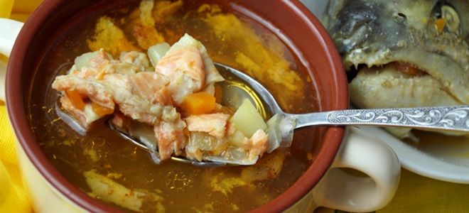 рыбный суп из головы семги