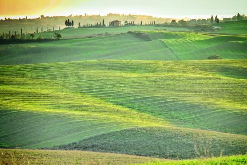 зеленые поля Тосканы