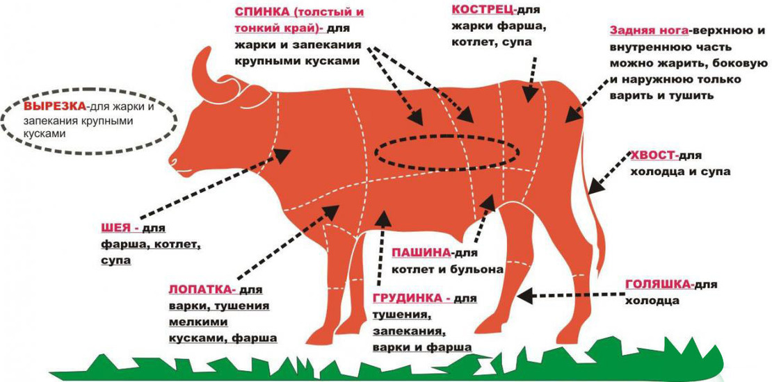 схема разделки коровы