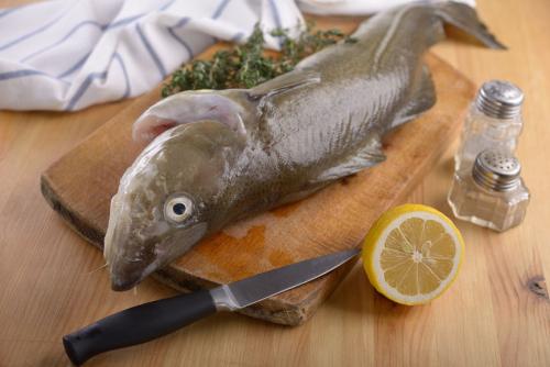 Какие морепродукты используют для приготовления блюд. Съедобные обитатели северных морей 07 Какие морепродукты и как использует человек. Рыбные морепродукты