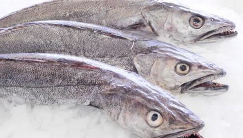 Какие морепродукты используют для приготовления блюд. Съедобные обитатели северных морей 07 Какие морепродукты и как использует человек. Рыбные морепродукты